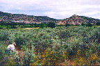 Panorama view 3